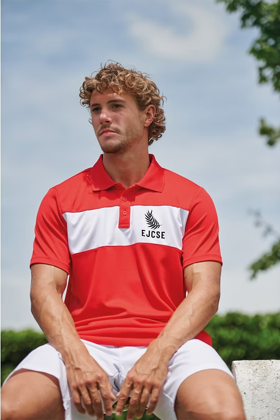 Polo Bicolore